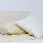 Camelia Luxury アパート ドゥブロブニク