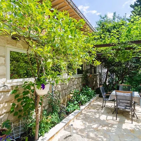 Camelia Luxury Ντουμπρόβνικ