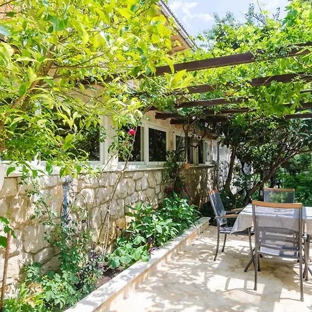 Camelia Luxury דירה *