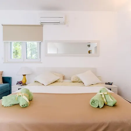 Camelia Luxury