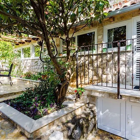 Camelia Luxury アパート *