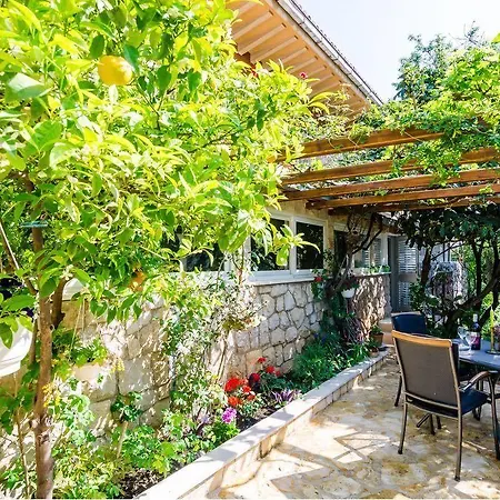 Camelia Luxury דוברובניק