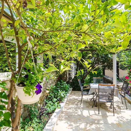 Camelia Luxury Apartmán *