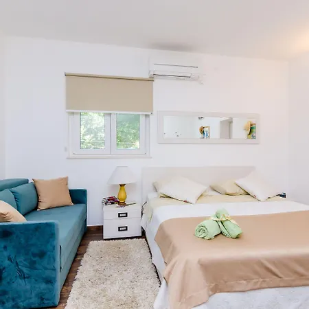 Camelia Luxury *