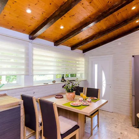 Camelia Luxury *