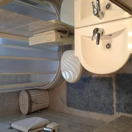 Camelia Luxury *