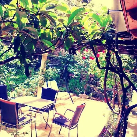 Apartment Camelia Luxury Dubrovnik