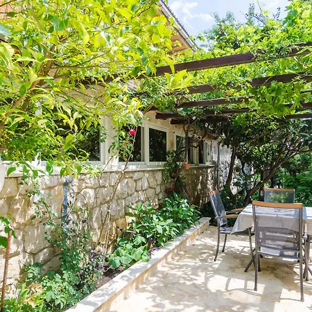 Camelia Luxury 公寓 *